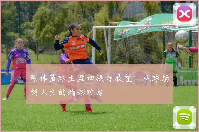陈伟篮球生涯回顾与展望：从球场到人生的精彩对话