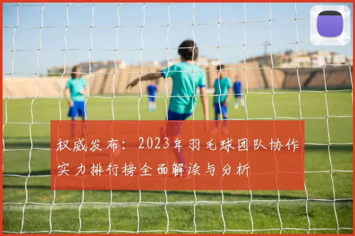 权威发布：2023年羽毛球团队协作实力排行榜全面解读与分析