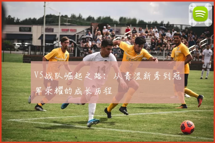V5战队崛起之路：从青涩新秀到冠军荣耀的成长历程