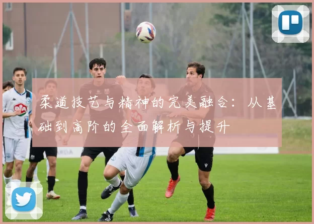 柔道技艺与精神的完美融合：从基础到高阶的全面解析与提升