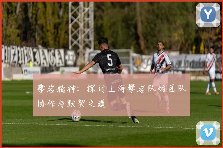 攀岩精神：探讨上海攀岩队的团队协作与默契之道