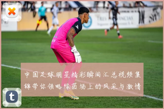 中国足球明星精彩瞬间汇总视频集锦带你领略绿茵场上的风采与激情