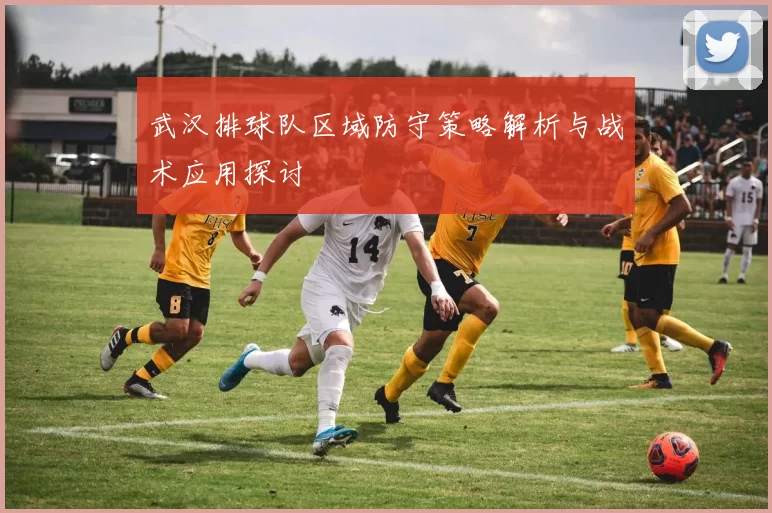 武汉排球队区域防守策略解析与战术应用探讨