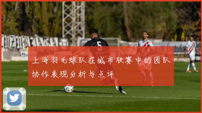 上海羽毛球队在城市联赛中的团队协作表现分析与点评