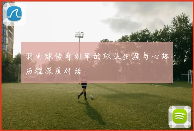 羽毛球传奇刘军的职业生涯与心路历程深度对话