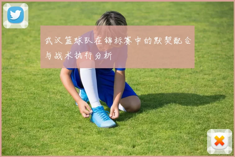 武汉篮球队在锦标赛中的默契配合与战术执行分析