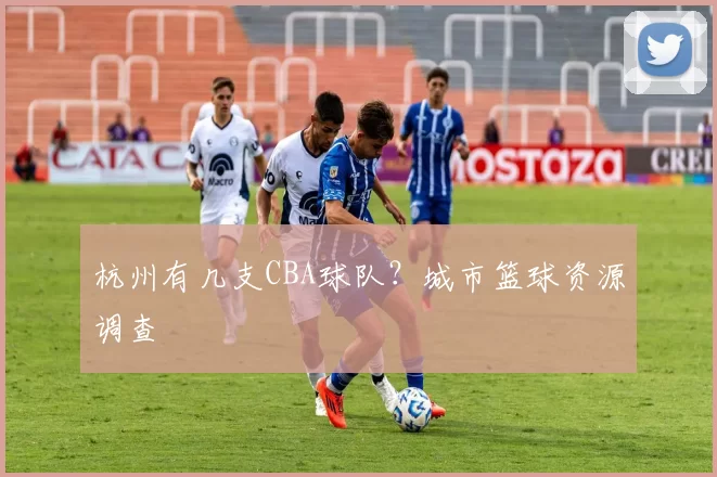 杭州有几支CBA球队？城市篮球资源调查