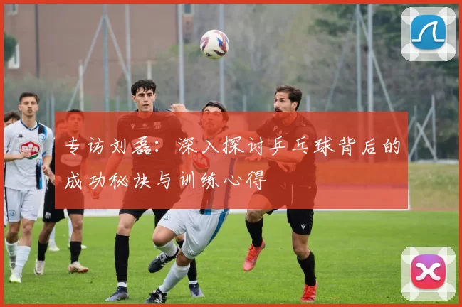专访刘磊：深入探讨乒乓球背后的成功秘诀与训练心得