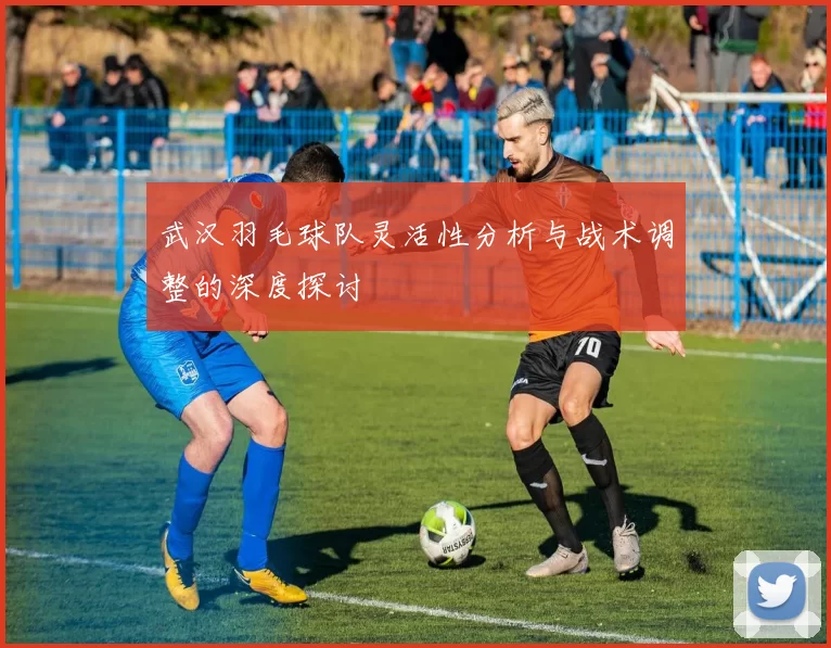 武汉羽毛球队灵活性分析与战术调整的深度探讨