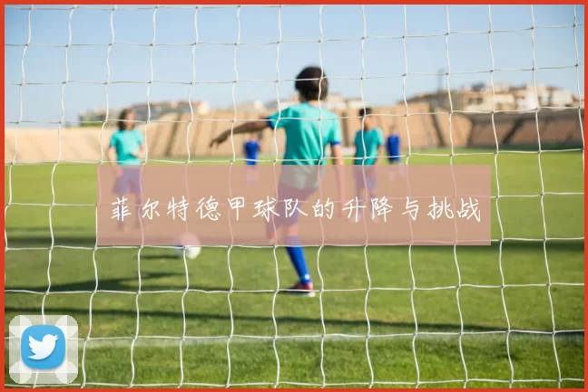 菲尔特德甲球队的升降与挑战