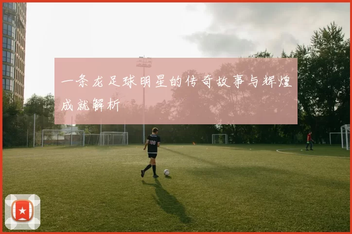 一条龙足球明星的传奇故事与辉煌成就解析