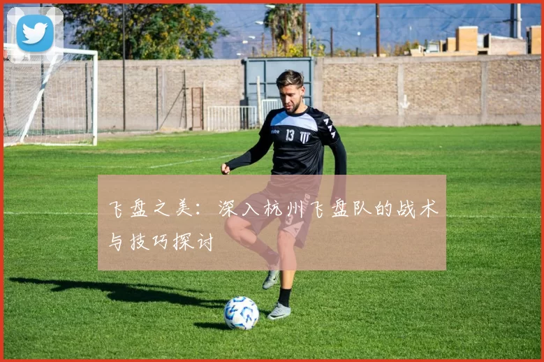 飞盘之美：深入杭州飞盘队的战术与技巧探讨