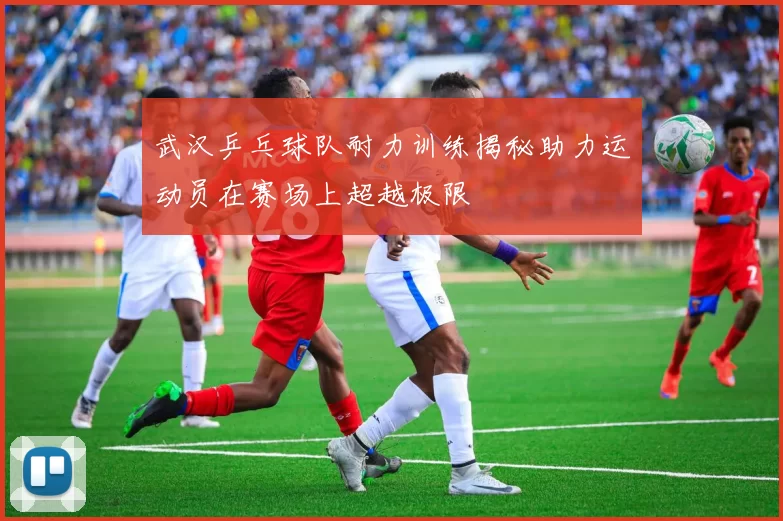 武汉乒乓球队耐力训练揭秘助力运动员在赛场上超越极限