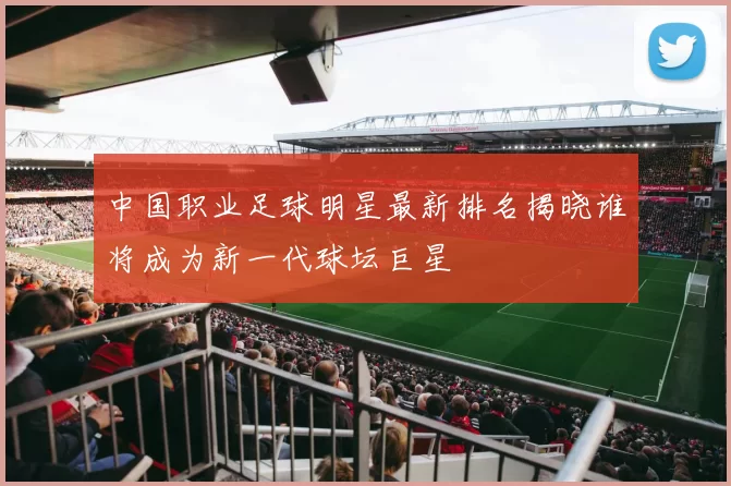 中国职业足球明星最新排名揭晓谁将成为新一代球坛巨星