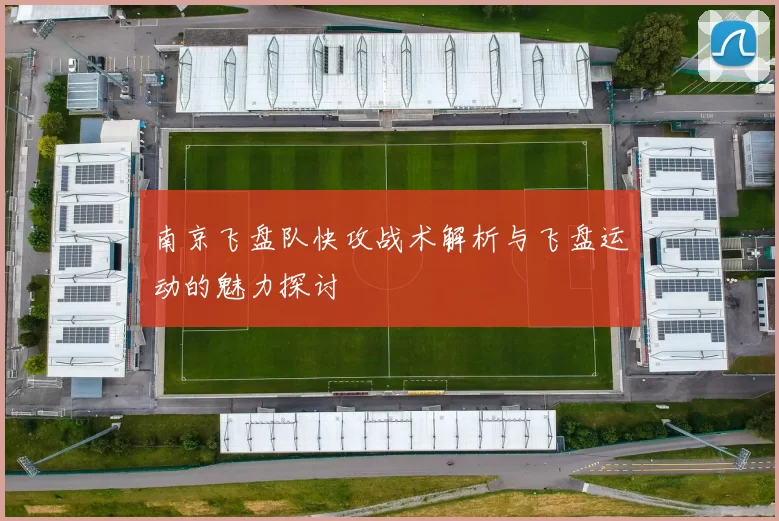 南京飞盘队快攻战术解析与飞盘运动的魅力探讨