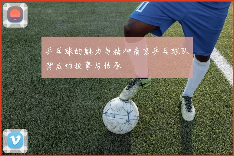 乒乓球的魅力与精神南京乒乓球队背后的故事与传承
