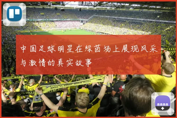 中国足球明星在绿茵场上展现风采与激情的真实故事