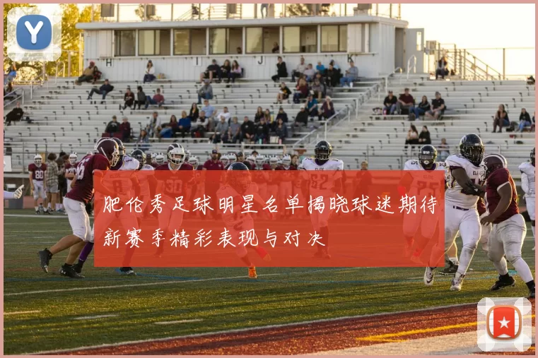 肥伦秀足球明星名单揭晓球迷期待新赛季精彩表现与对决