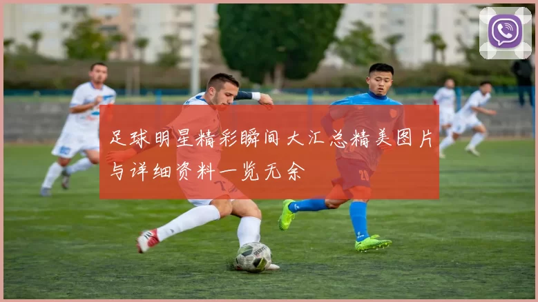 足球明星精彩瞬间大汇总精美图片与详细资料一览无余