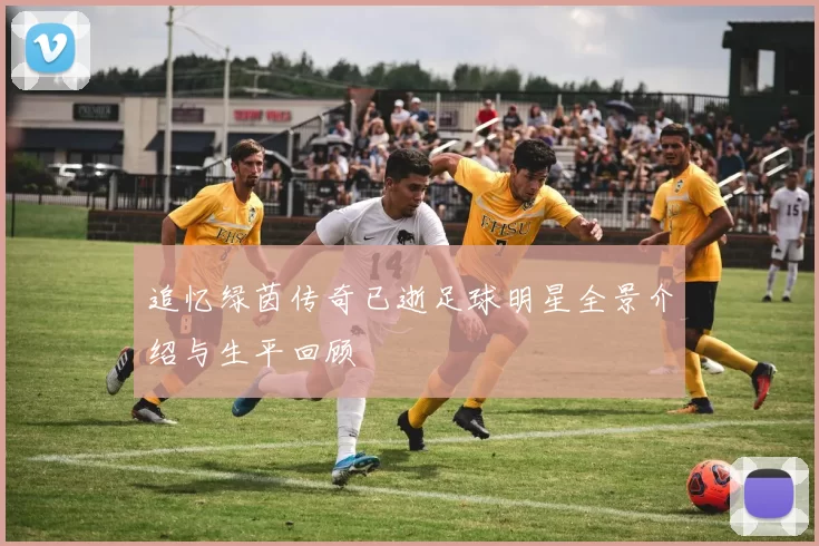 追忆绿茵传奇已逝足球明星全景介绍与生平回顾