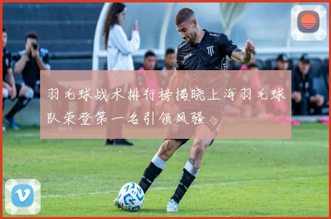 羽毛球战术排行榜揭晓上海羽毛球队荣登第一名引领风骚