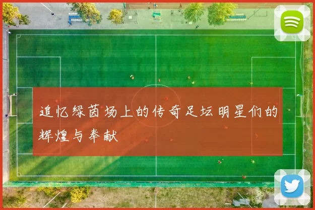 追忆绿茵场上的传奇足坛明星们的辉煌与奉献