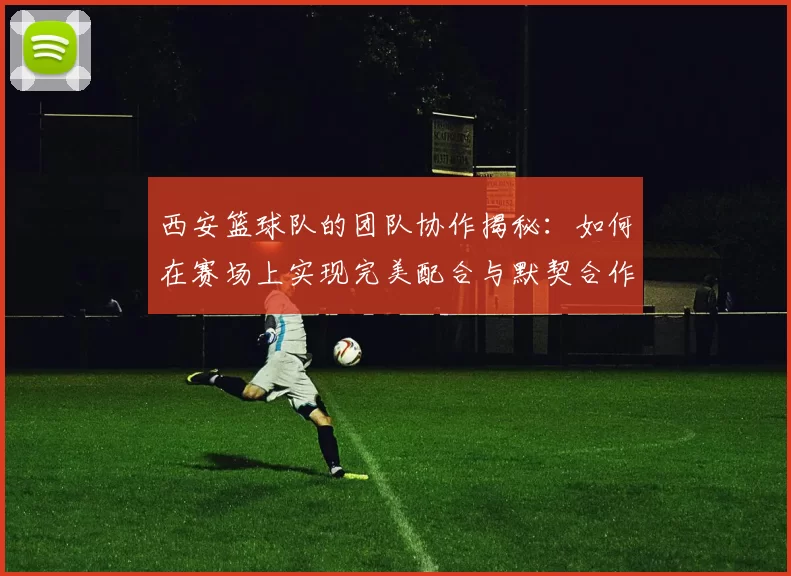 西安篮球队的团队协作揭秘：如何在赛场上实现完美配合与默契合作