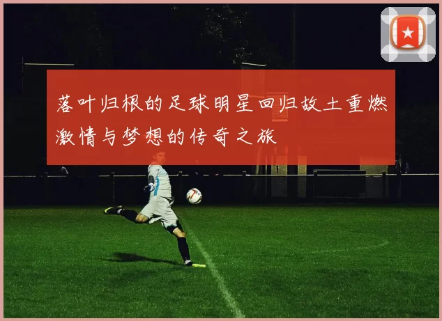 落叶归根的足球明星回归故土重燃激情与梦想的传奇之旅