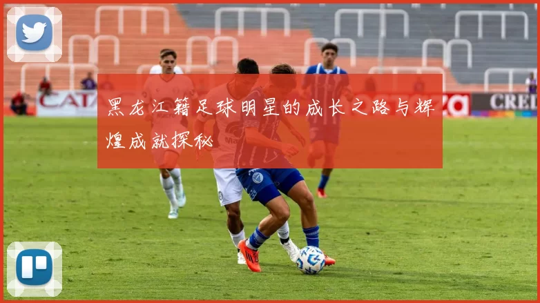 黑龙江籍足球明星的成长之路与辉煌成就探秘